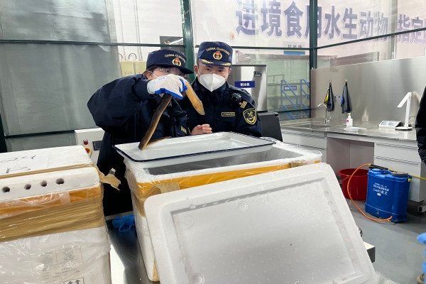 京东影业影视传媒