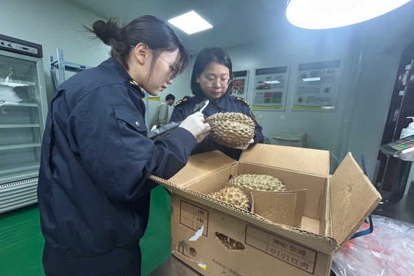京东影业影视传媒